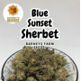 Семена каннабиса Blue Sunset Sherbert