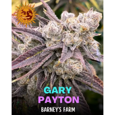 Gary Payton