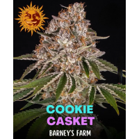 Cookie Casket