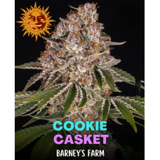 Cookie Casket