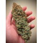 Семена каннабиса Gorilla Zkittlez