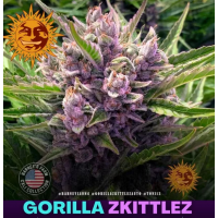 Gorilla Zkittlez