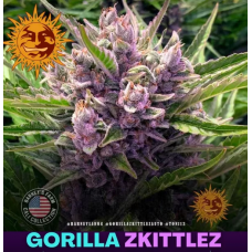 Gorilla Zkittlez