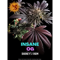Insane OG