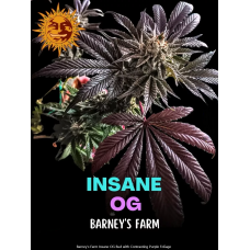 Insane OG