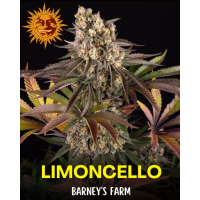 Limoncello