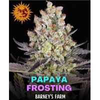 Papaya Frosting