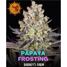 Papaya Frosting