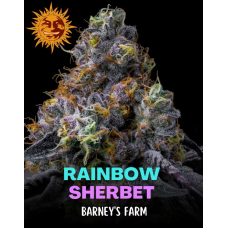 Rainbow Sherbet