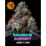 Семена каннабиса Rainbow Sherbet