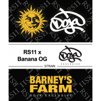 RS11 x Banana OG