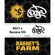 RS11 x Banana OG