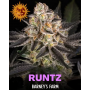 Семена каннабиса Runtz