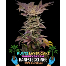 Runtz x Layer Cake