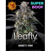 Super Boof