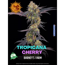Tropicana Cherry