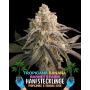 Семена каннабиса Tropicanna Banana