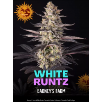 White Runtz