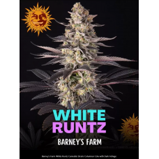 White Runtz