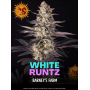 Насіння канабісу White Runtz