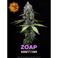 Zoap