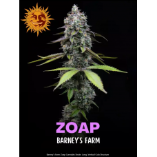 Zoap
