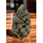 Семена каннабиса Frosted Zinn Auto x 3 Bears Auto