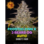 Семена каннабиса Frosted Zinn Auto x 3 Bears Auto