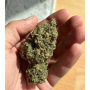 Семена каннабиса Frosted Zinn x Cookie Dog Auto