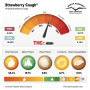 Cannabis seed variety STRAWBERRY COUGH®