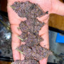 Семена конопли Tropicanna Poison Feminised Silver от Error Seeds - Smartshop-smartshop.ua®
