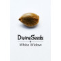 Насіння конопель White Widow від Divine Seeds - Smartshop-smartshop.ua®