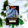 Семена конопли Auto Blue Cheese от Divine Seeds - Smartshop-smartshop.ua®