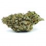 Насіння конопель Gorilla Glue Feminised Silver від Error Seeds - Smartshop-smartshop.ua®
