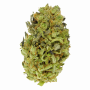 Семена конопли Auto Hindu Kush от Divine Seeds - Smartshop-smartshop.ua®