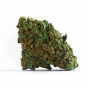 Семена конопли Auto Hindu Kush от Divine Seeds - Smartshop-smartshop.ua®