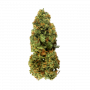 Семена конопли Auto Jamaica от Marley Seedbank - Smartshop-smartshop.ua®