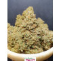 Семена каннабиса Wedding GLUE Auto