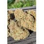 Семена каннабиса Wedding GLUE Auto