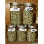 Семена конопли Auto Big Bang от Divine Seeds - Smartshop-smartshop.ua®