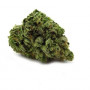 Семена конопли Auto White Dwarf Feminised Gold от Error Seeds - Smartshop-smartshop.ua®