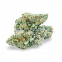 Семена конопли Blue Dream Feminised Silver от Error Seeds в Smartshop-smartshop.ua®