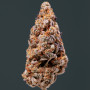Семена конопли Auto Vesta Feminised Silver от Error Seeds - Smartshop-smartshop.ua®