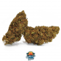 Семена конопли California Haze Feminised Silver от Error Seeds в Smartshop-smartshop.ua®