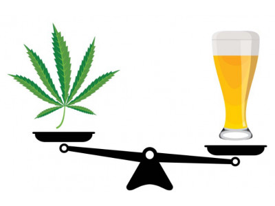 Marijuana vs Alcohol - which is more harmful to the body?