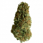 Семена конопли Divine Sativa от Divine Seeds - Smartshop-smartshop.ua®