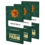 Cannabis seeds DOS SI DOS #33 from Barney's Farm at Smartshop-smartshop.ua®