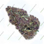 Семена конопли Frisian Dew Feminised Silver от Error Seeds в Smartshop-smartshop.ua®