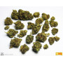 Семена конопли Gorilla Glue Feminised Gold от Error Seeds - Smartshop-smartshop.ua®