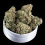 Семена конопли Auto Rhino Ryder Feminised Silver от Error Seeds - Smartshop-smartshop.ua®